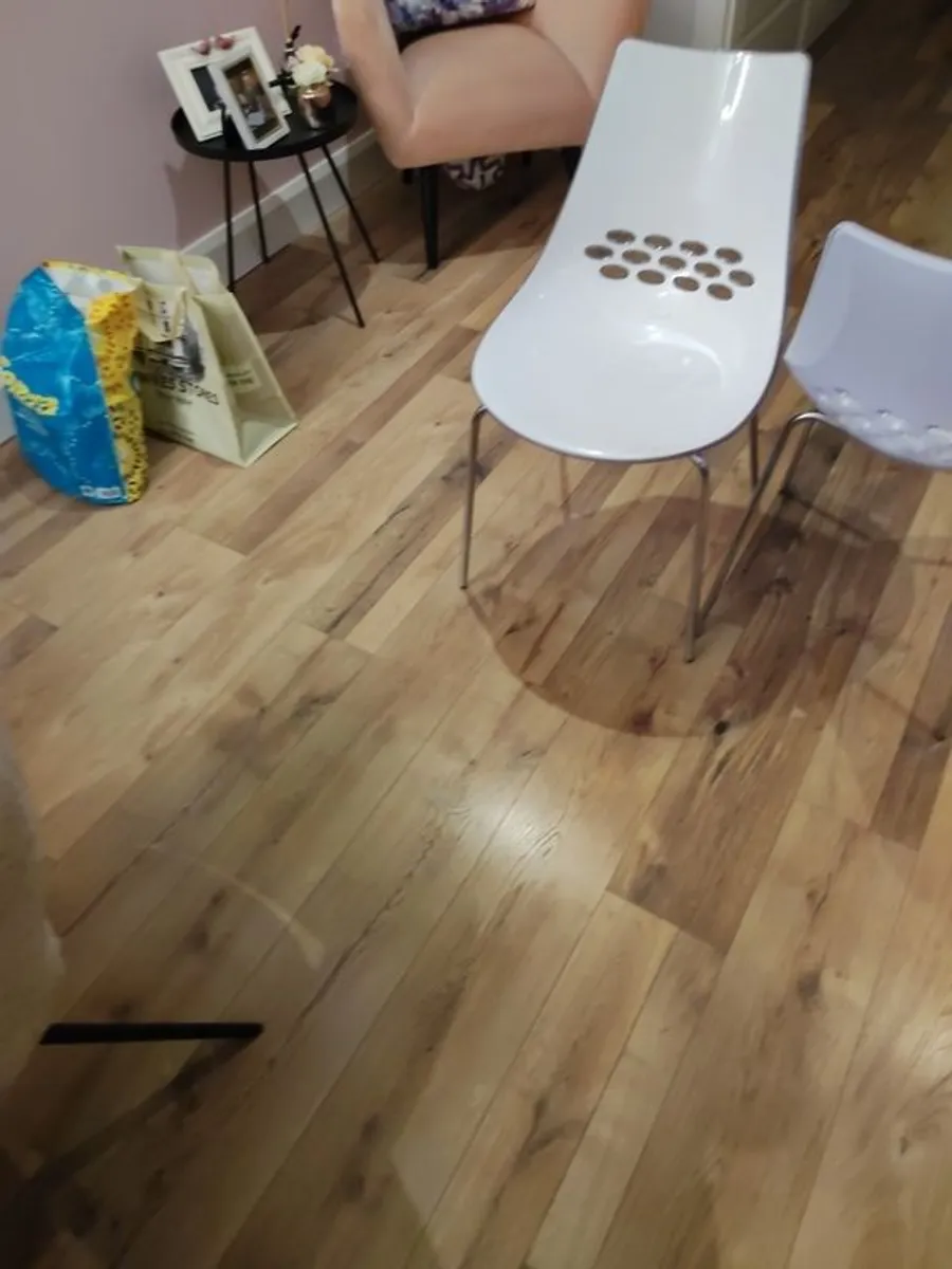 Pair of Calligaris Jam chairs - Image 1