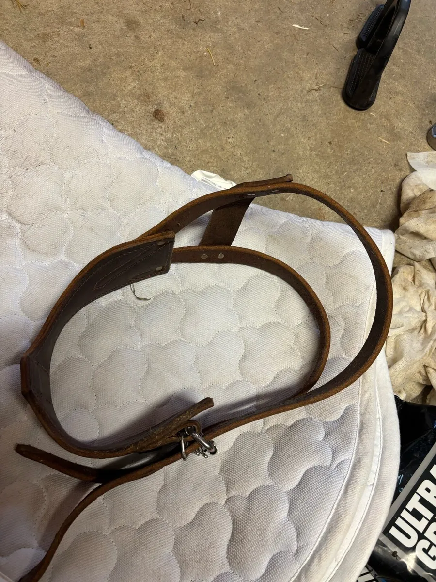 Wind suck collar - Image 1