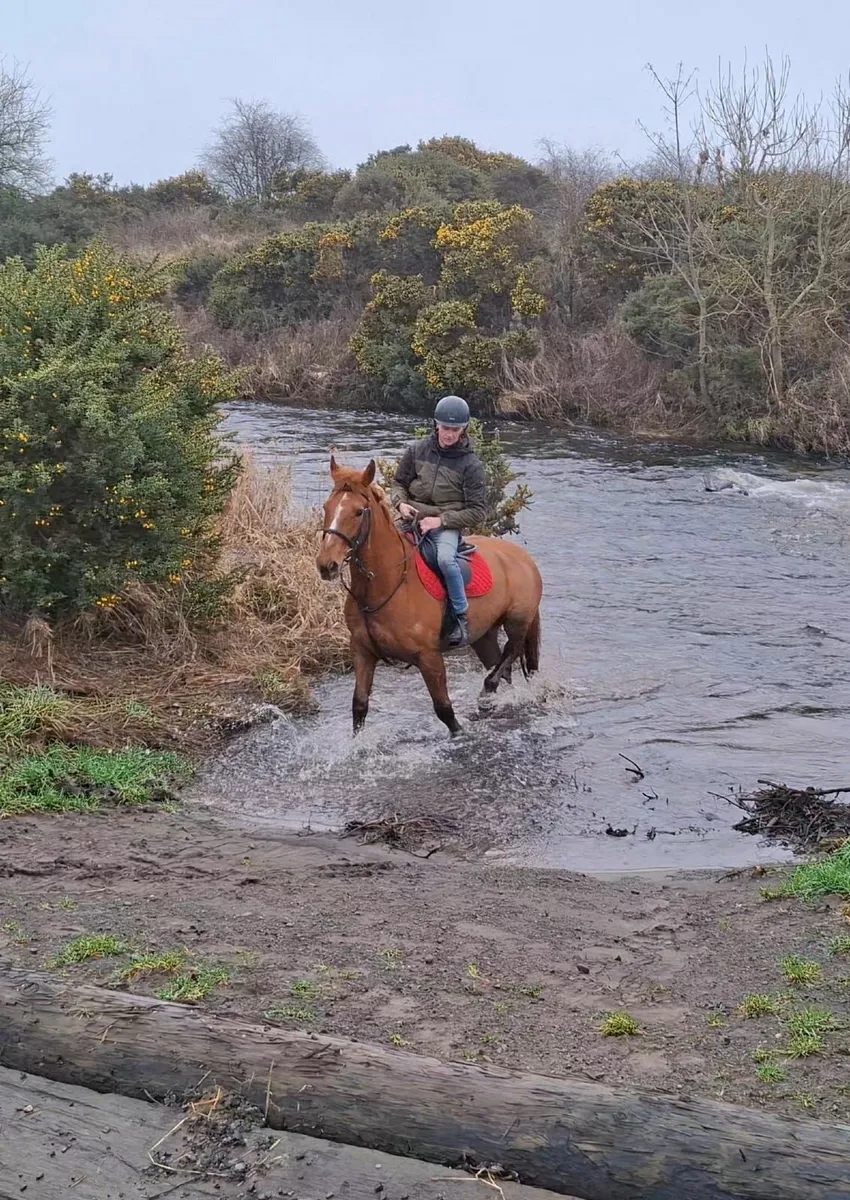 School master/ All rounder - Image 2