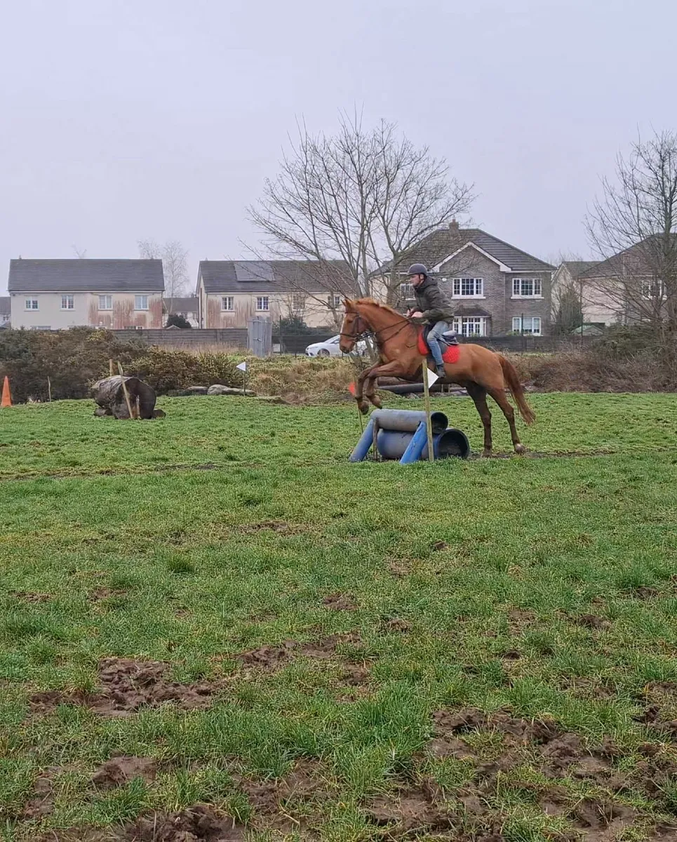 School master/ All rounder - Image 3