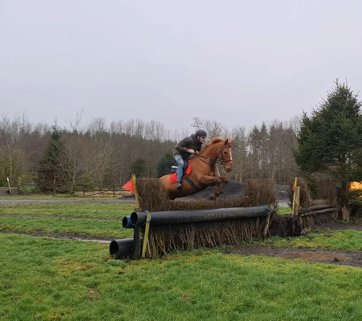 School master/ All rounder - Image 4