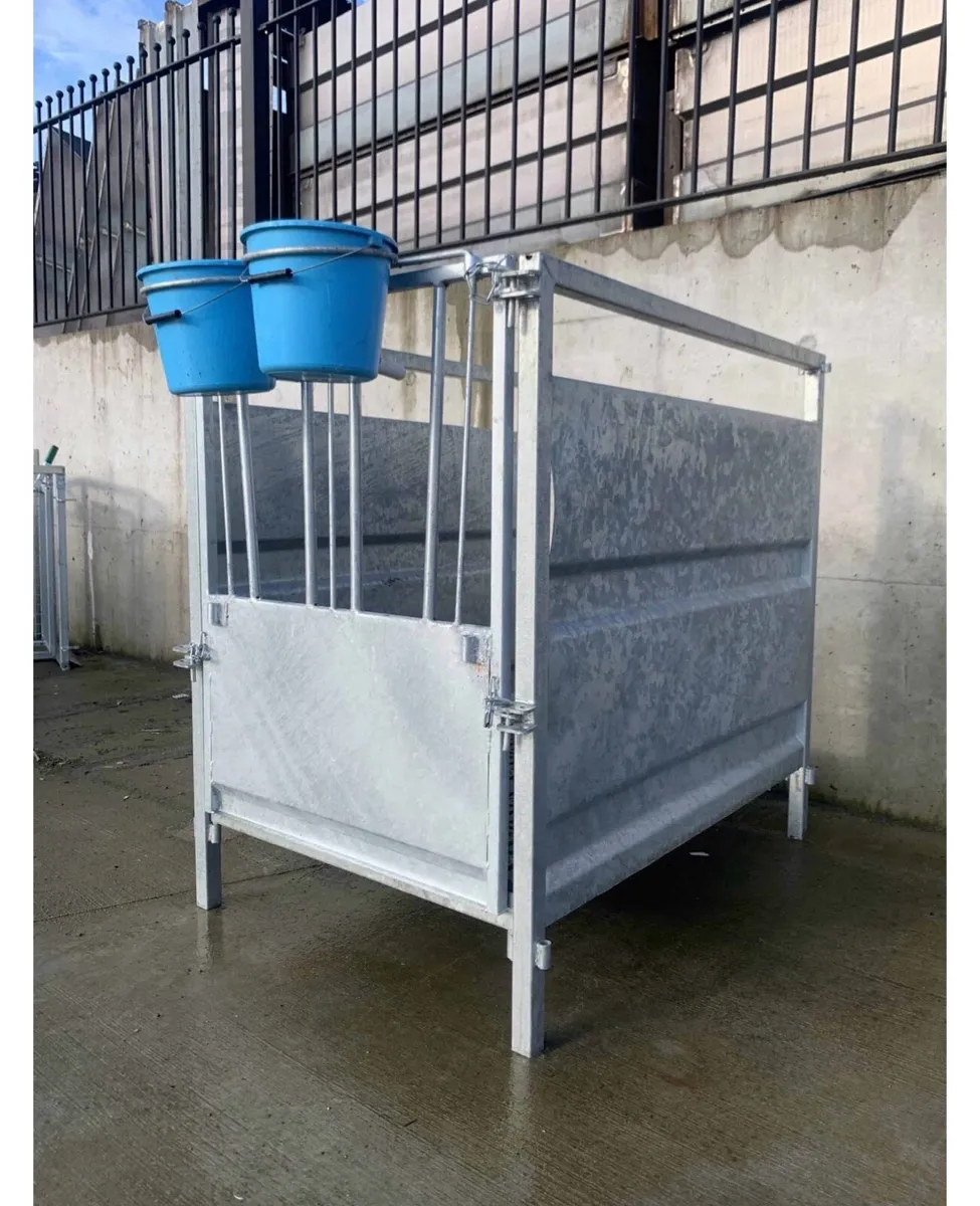 Calf Pens - Image 1