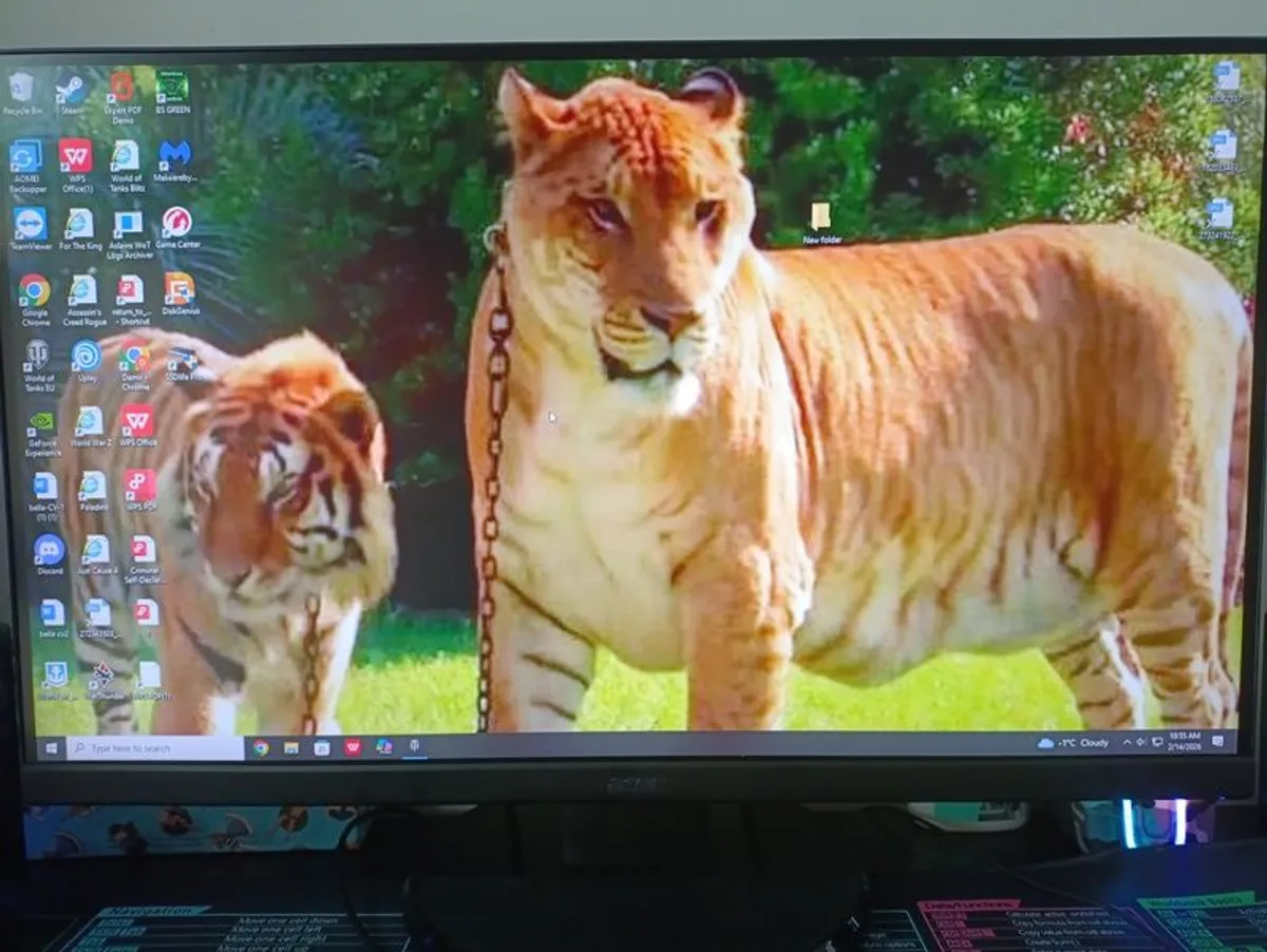 Pc monitor - Image 1