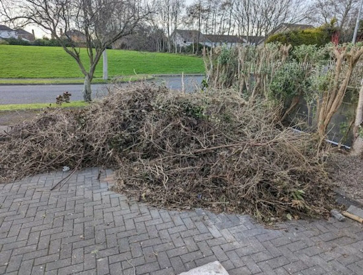 Rubbish be gone - Image 3