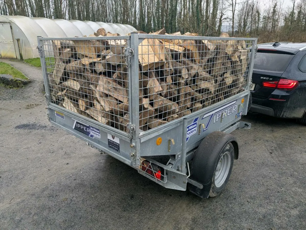 Ash Firewood - dried and split - Image 2