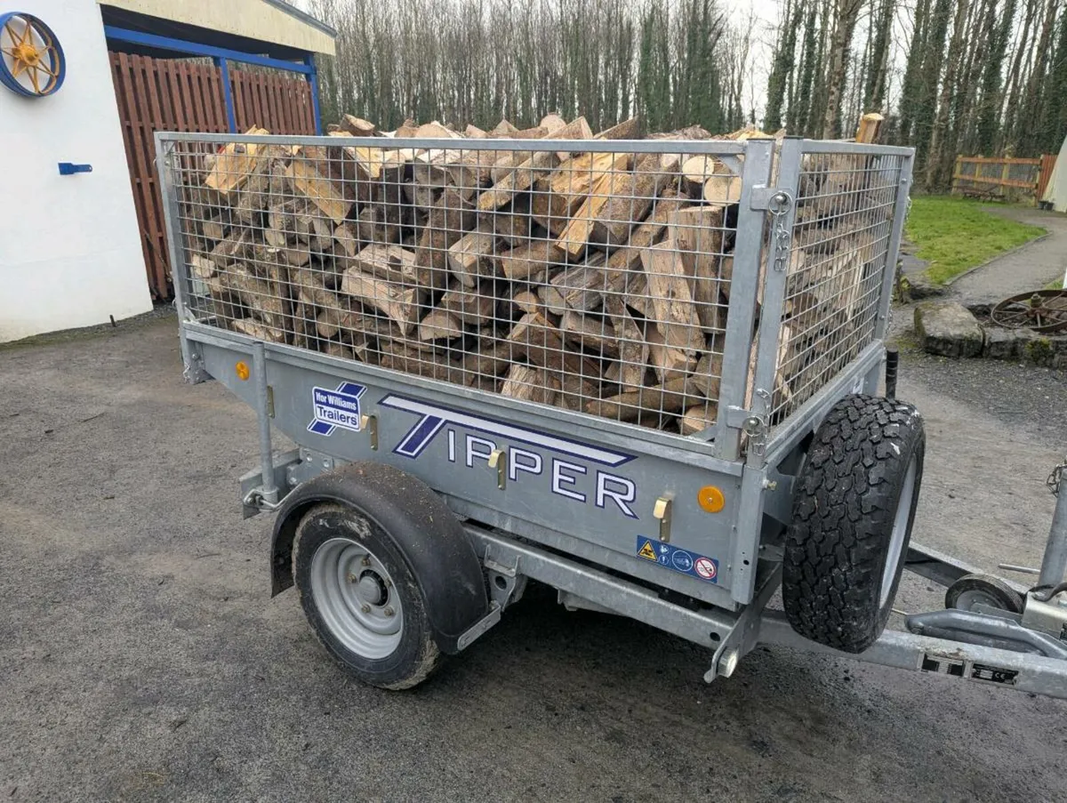 Ash Firewood - dried and split - Image 1