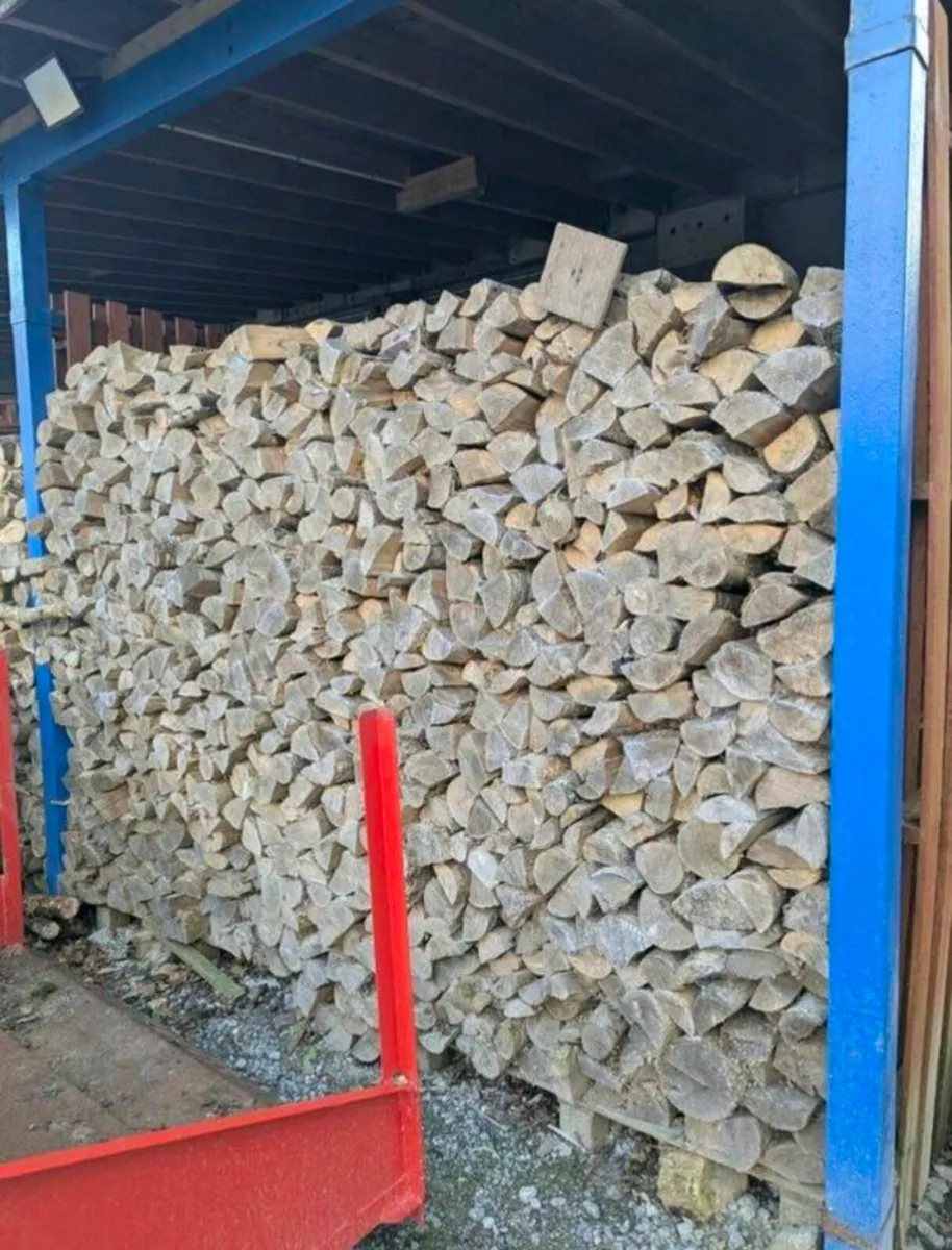 Ash Firewood - dried and split - Image 3