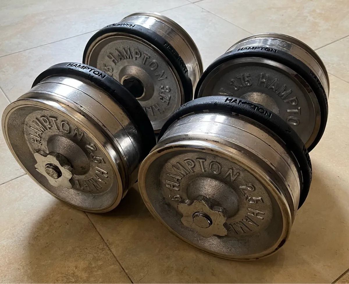 2x34.5kg hampton commercial spinlock adjustable - Image 1