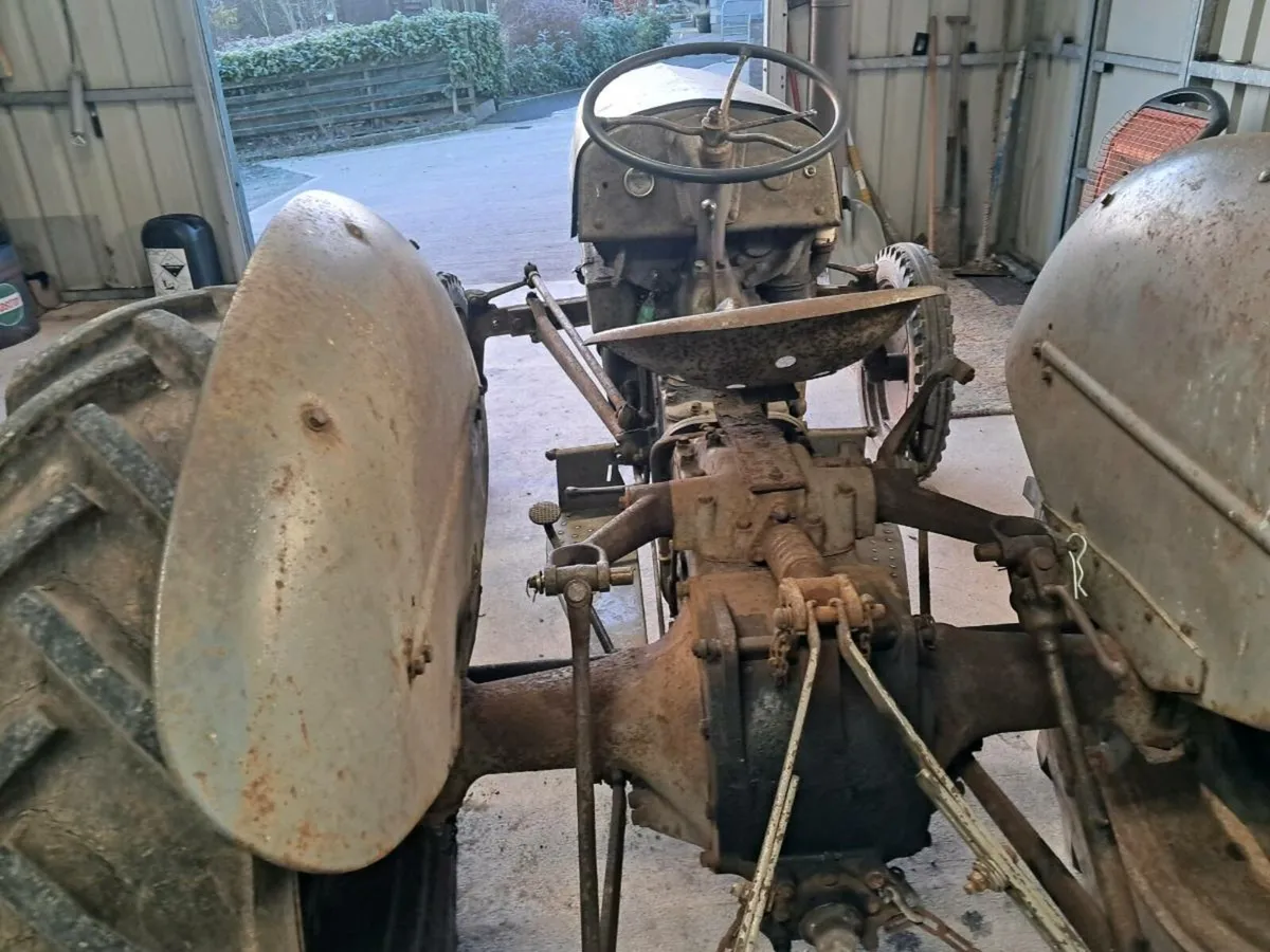 Ferguson TEA petrol - Image 3