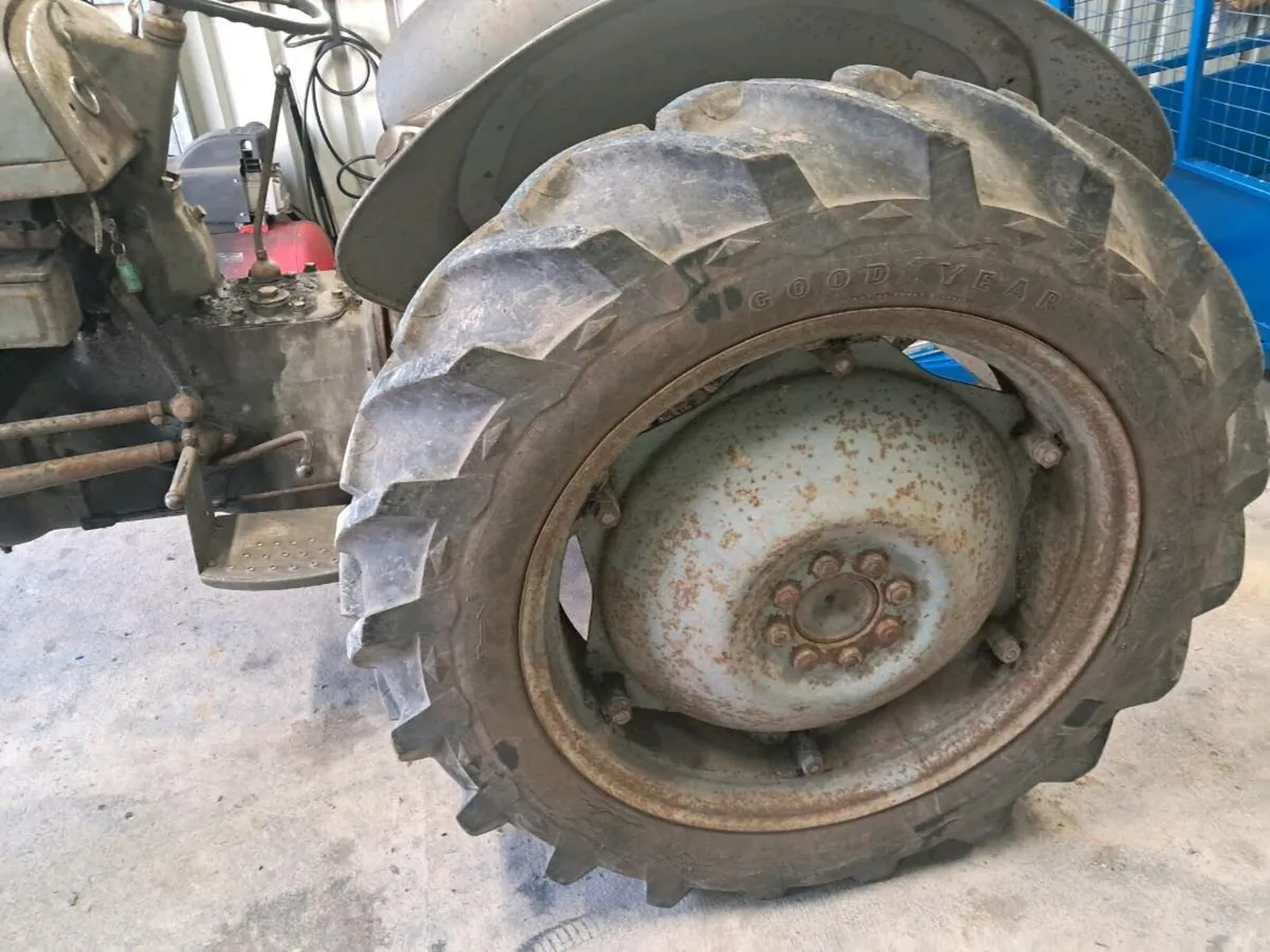 Ferguson TEA petrol - Image 4