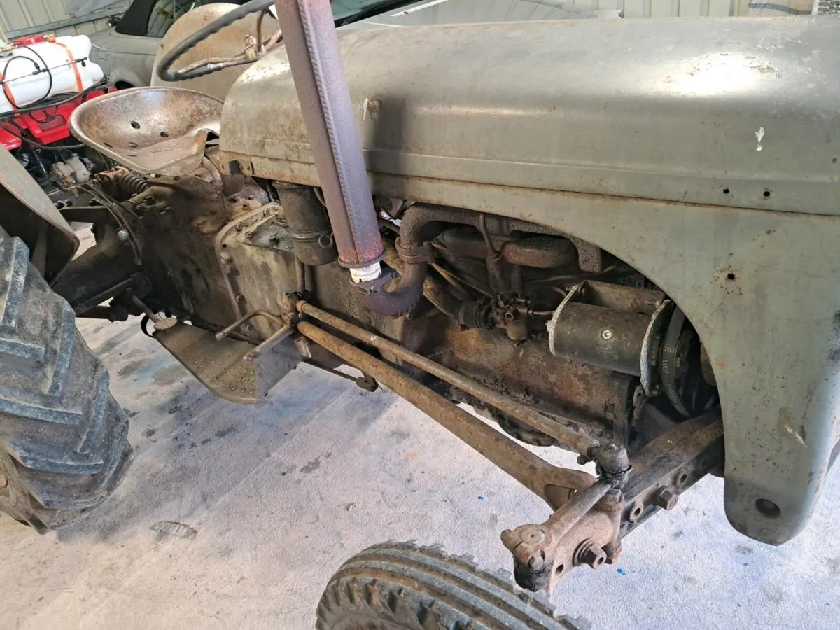 Ferguson TEA petrol - Image 2