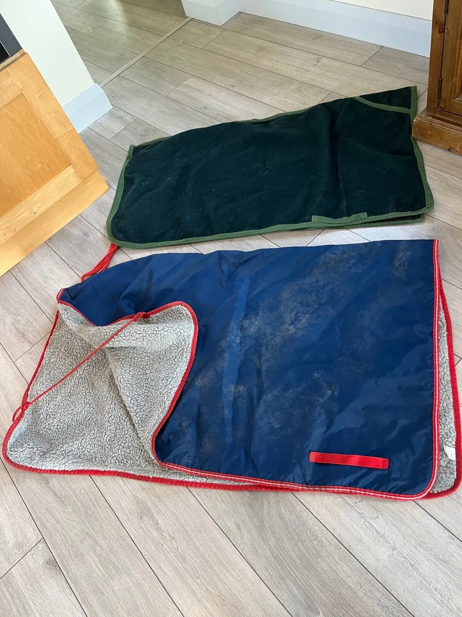 Horse equipment - Image 1