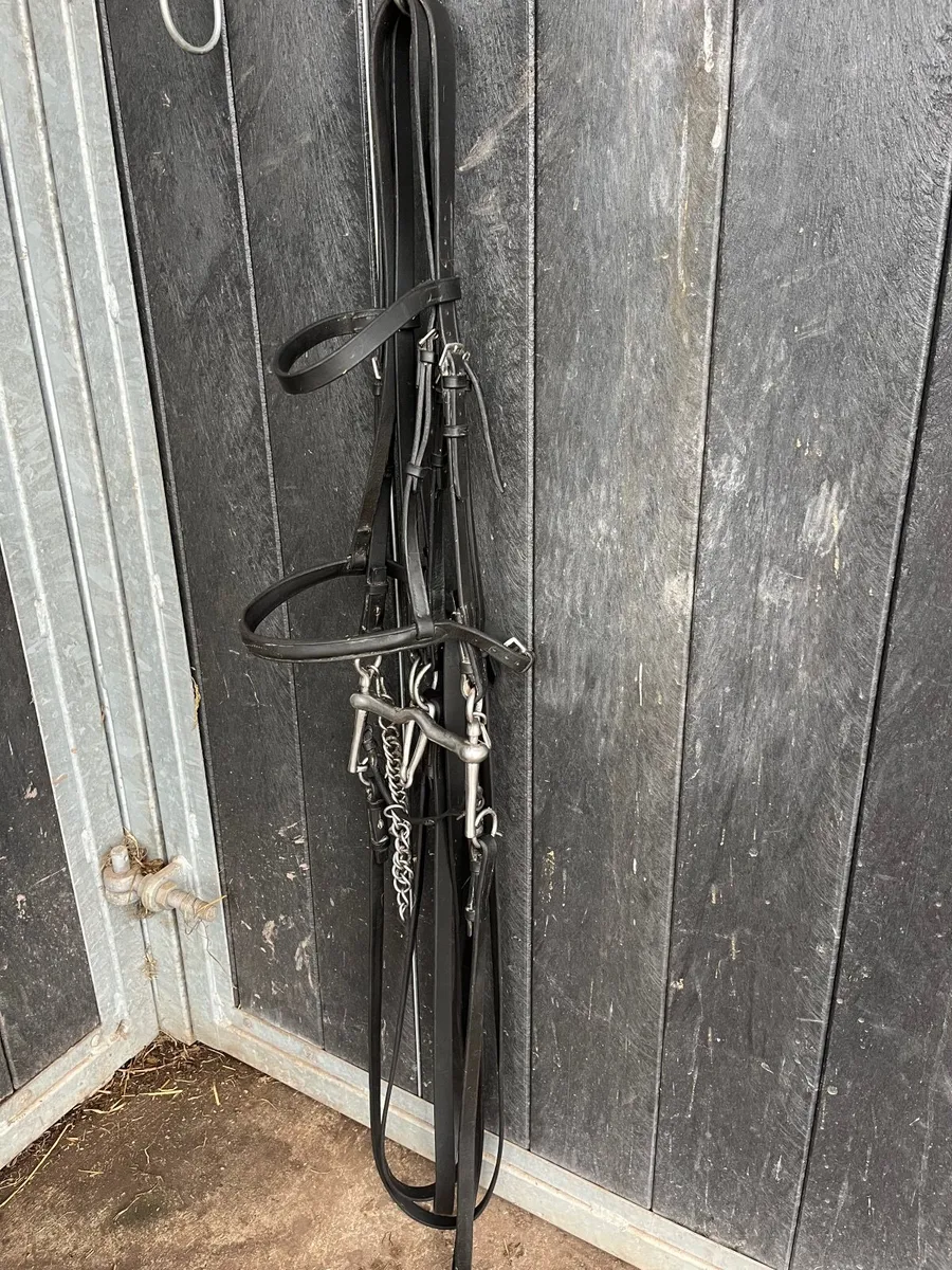 Horse equipment - Image 2