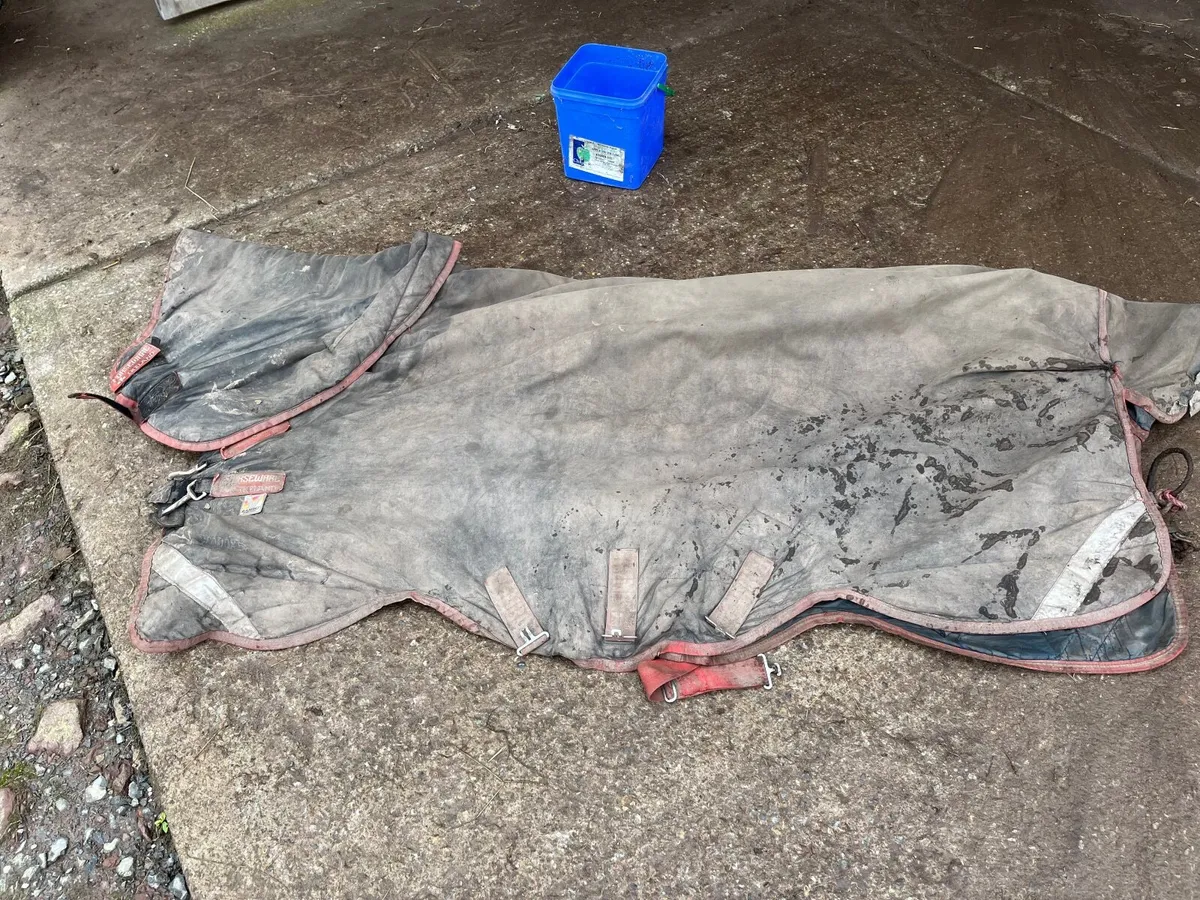 Horse equipment - Image 4