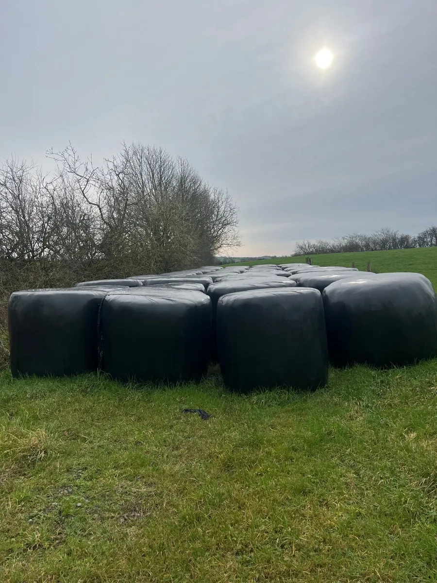 Round bale silage