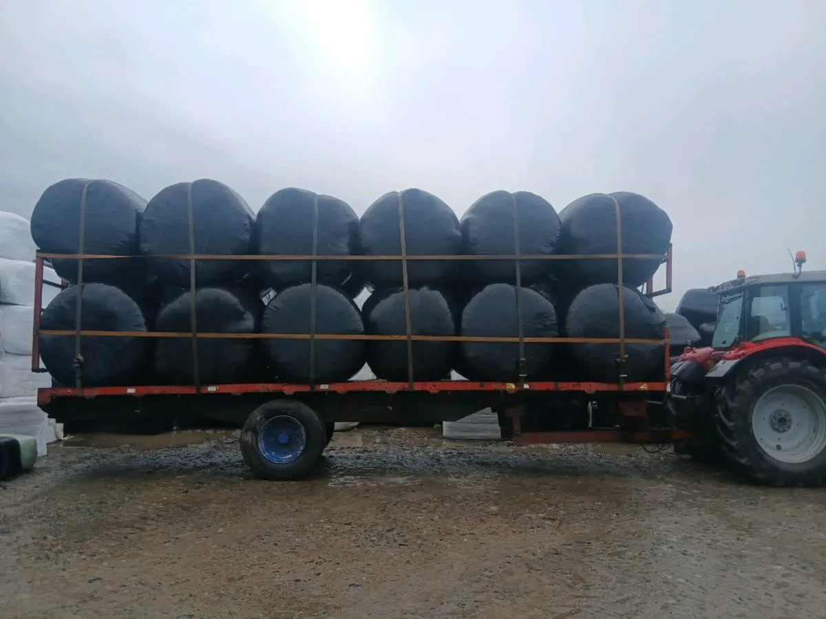 HAY AND HAYLAGE - Image 1