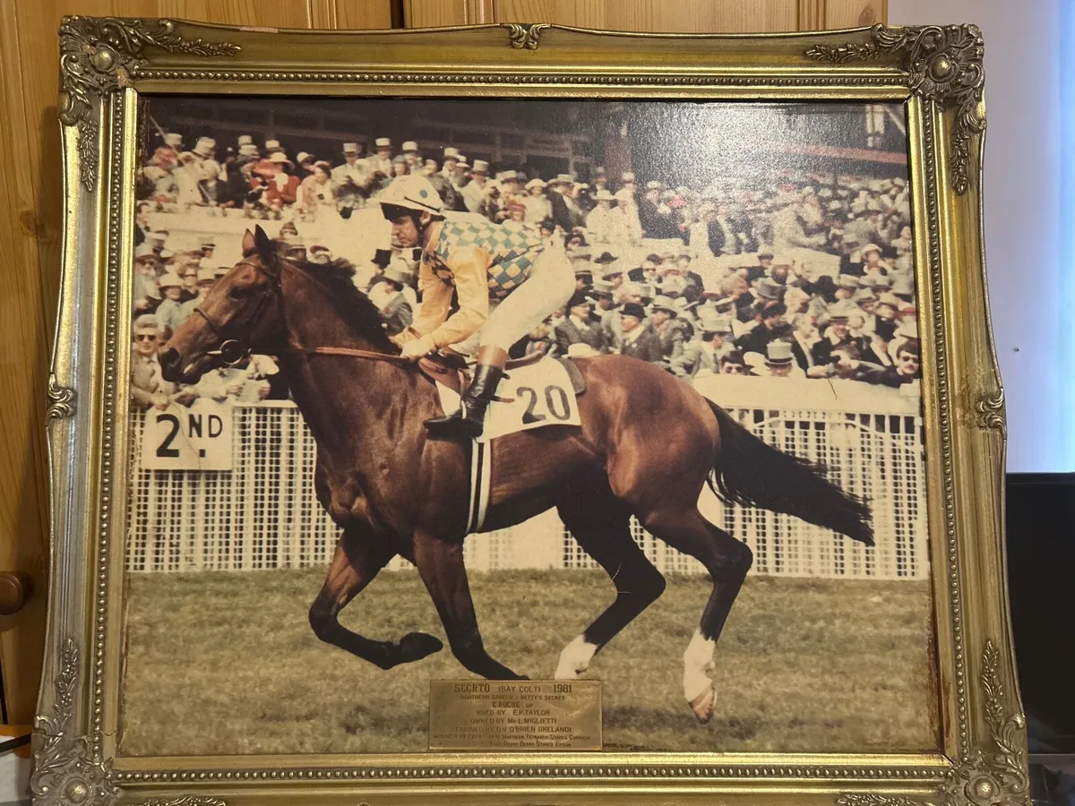 Photo of Secrto Winner of Epsom Derby 1984 - Image 1