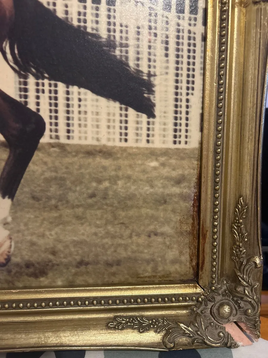 Photo of Secrto Winner of Epsom Derby 1984 - Image 2