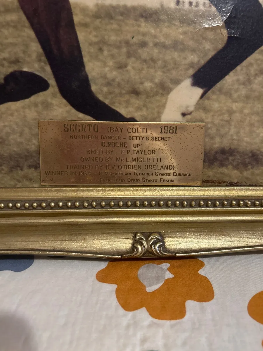 Photo of Secrto Winner of Epsom Derby 1984 - Image 4