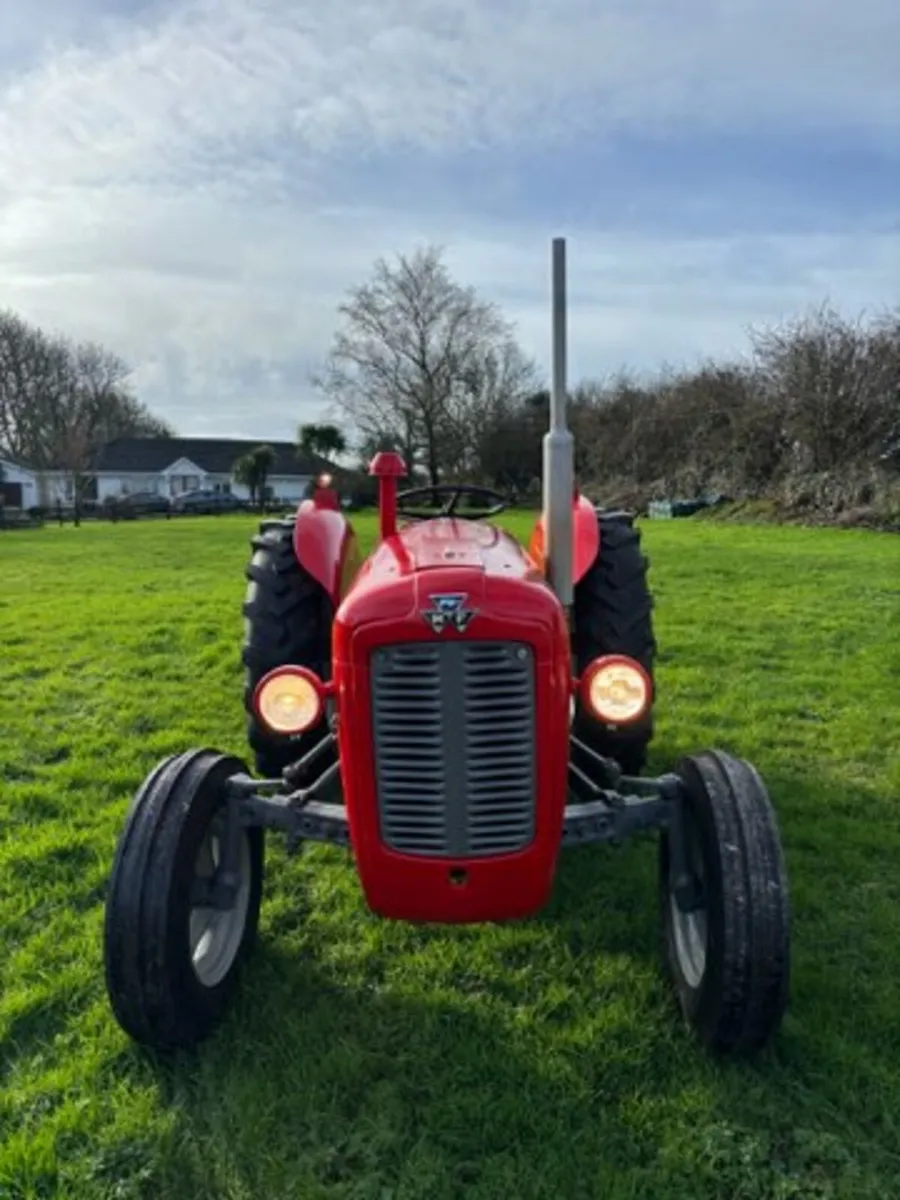 Massey Ferguson 35 1961 - Image 1