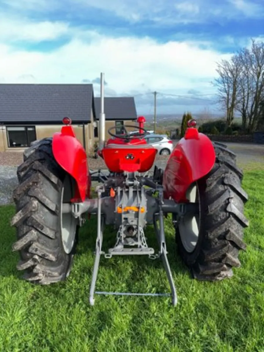 Massey Ferguson 35 1961 - Image 2