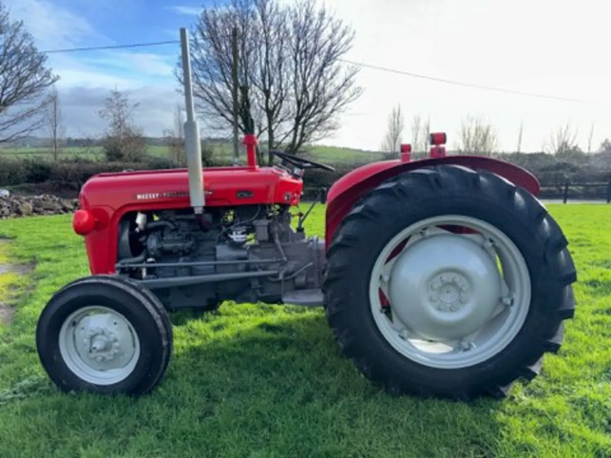 Massey Ferguson 35 1961 - Image 4