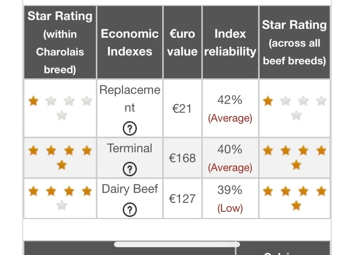 Cf52 charolais bull - Image 2