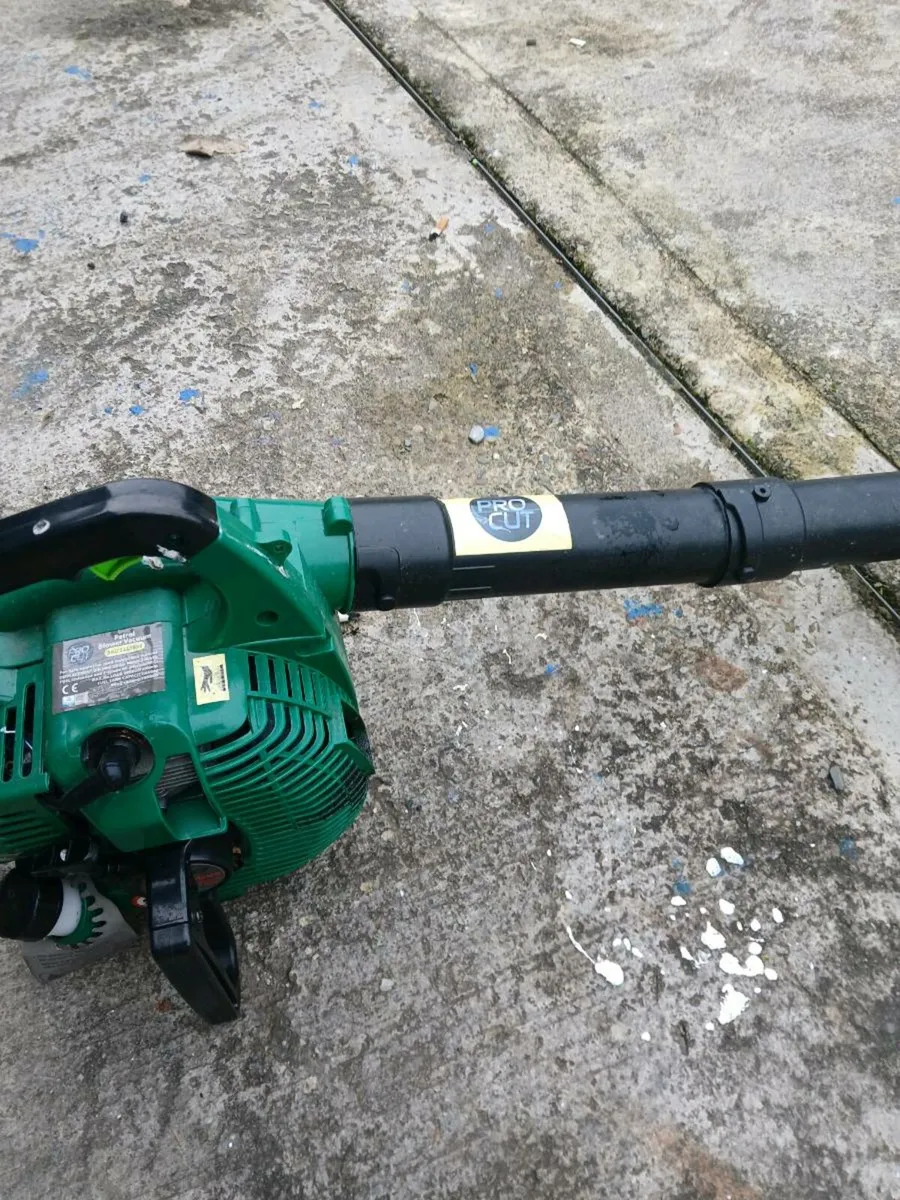 Garden blower - Image 1