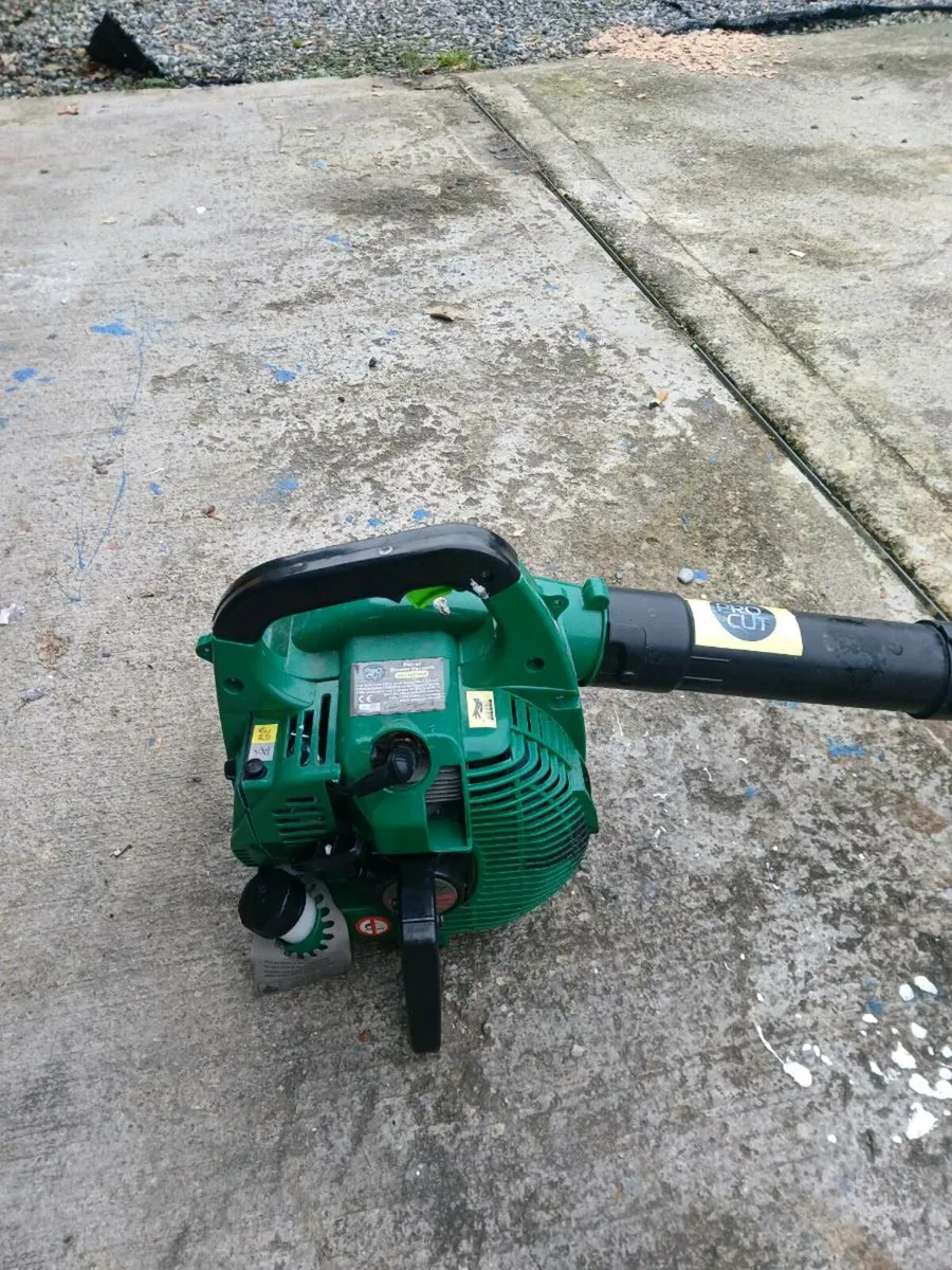 Garden blower - Image 2