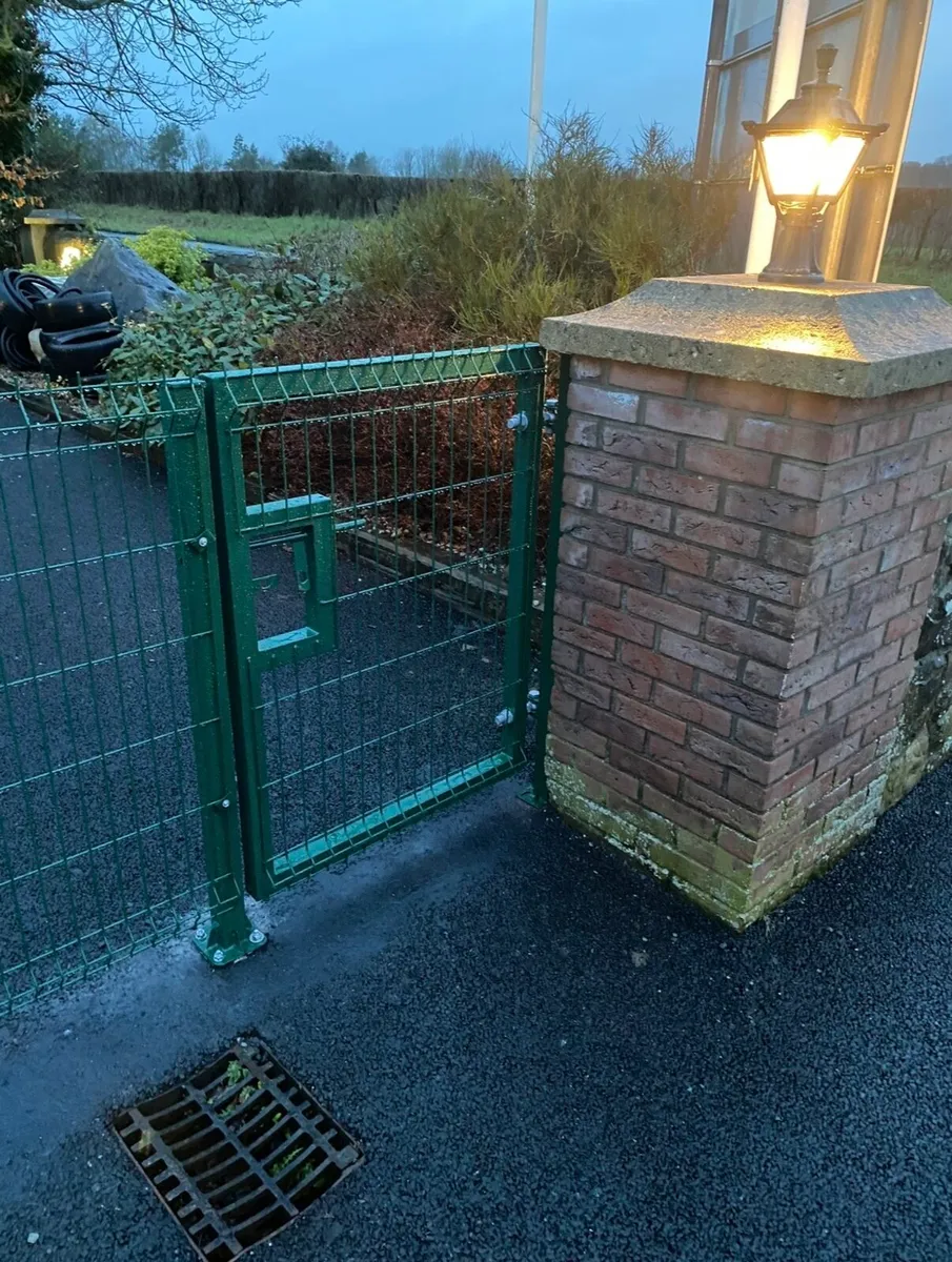 BEAUTIFUL GATES BY SAMSON IRELAND - Image 3