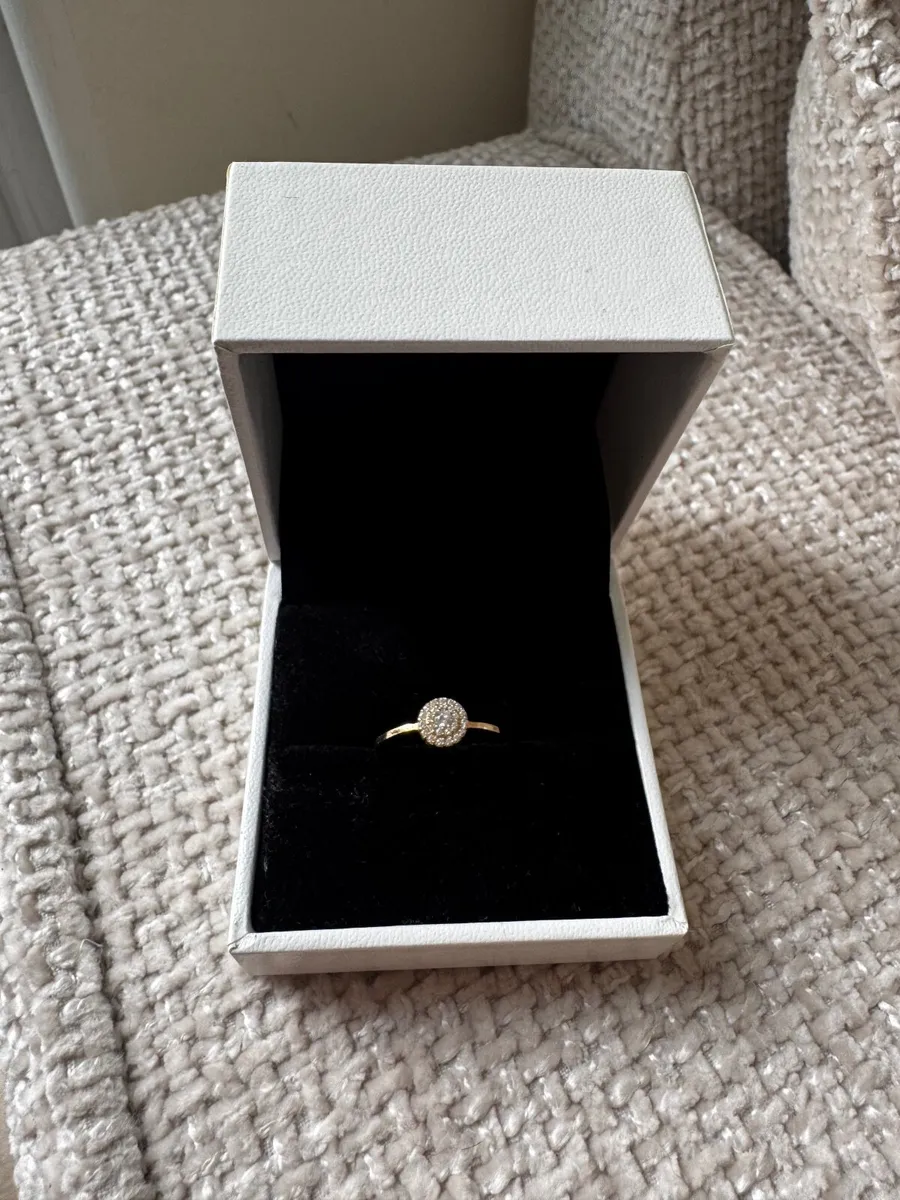 Engagement promise ring