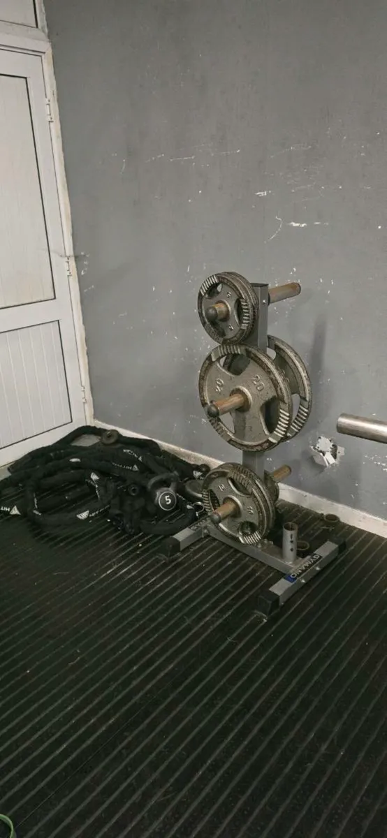 Weights - Image 2