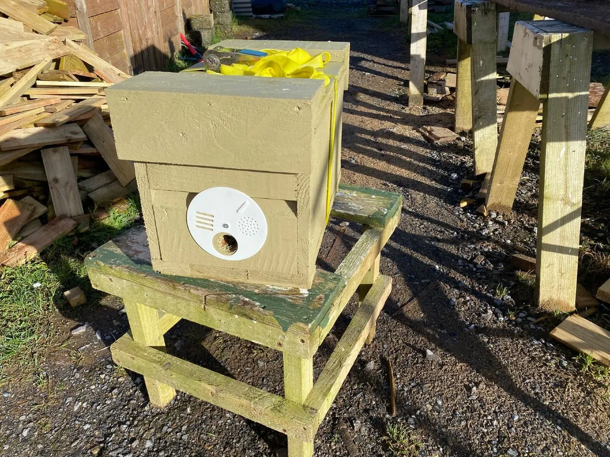 Job Lot of Beekeeping Equipment - Image 3