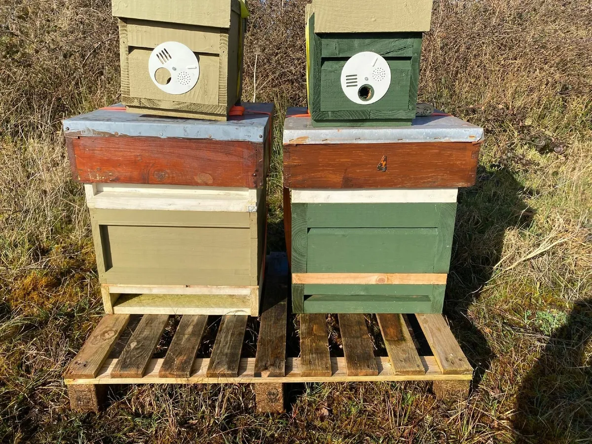 Job Lot of Beekeeping Equipment - Image 4