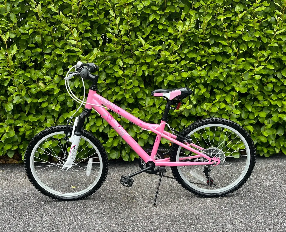 Kids Mystic Pink Bike 20’’ Wheel Bike