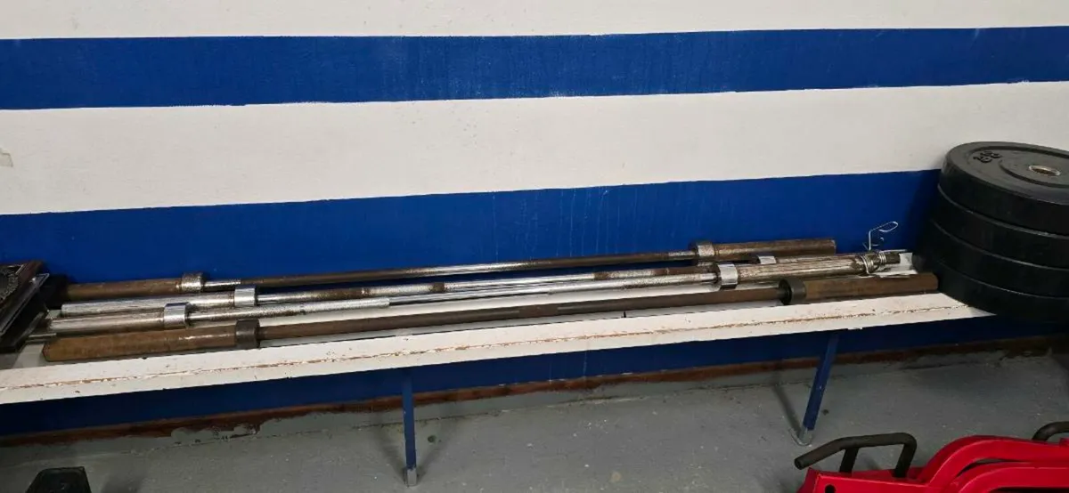 Bars and trap nar - Image 1