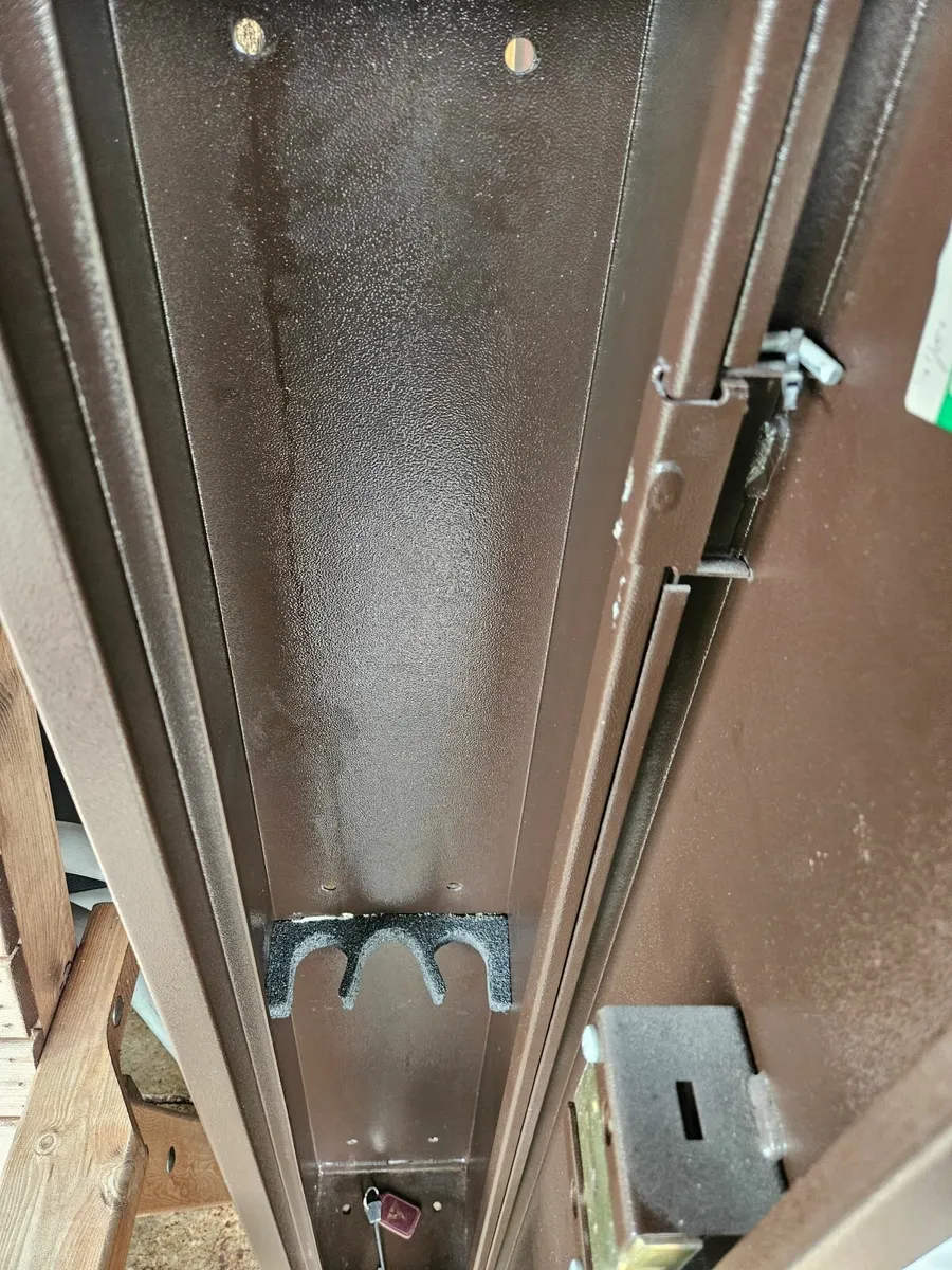 Gun safe/cabinet - Image 2