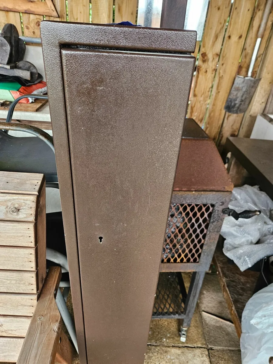 Gun safe/cabinet - Image 1