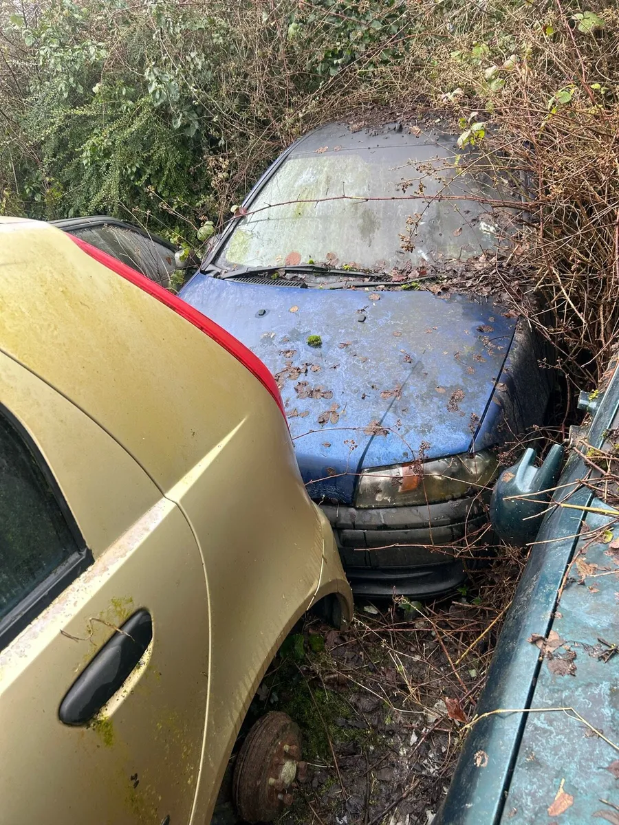 Fiat Punto’s Sale! - Image 4