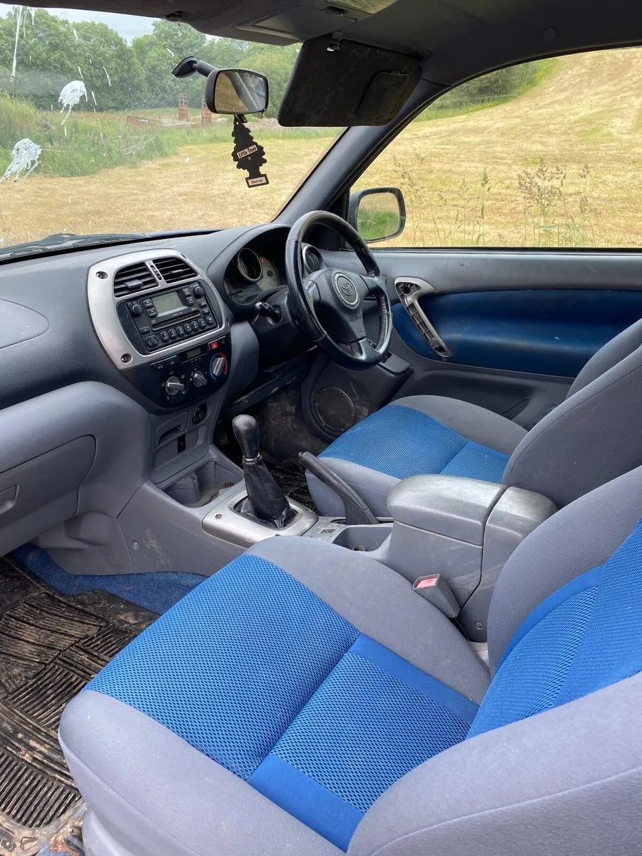 Yard cleanup - Image 2