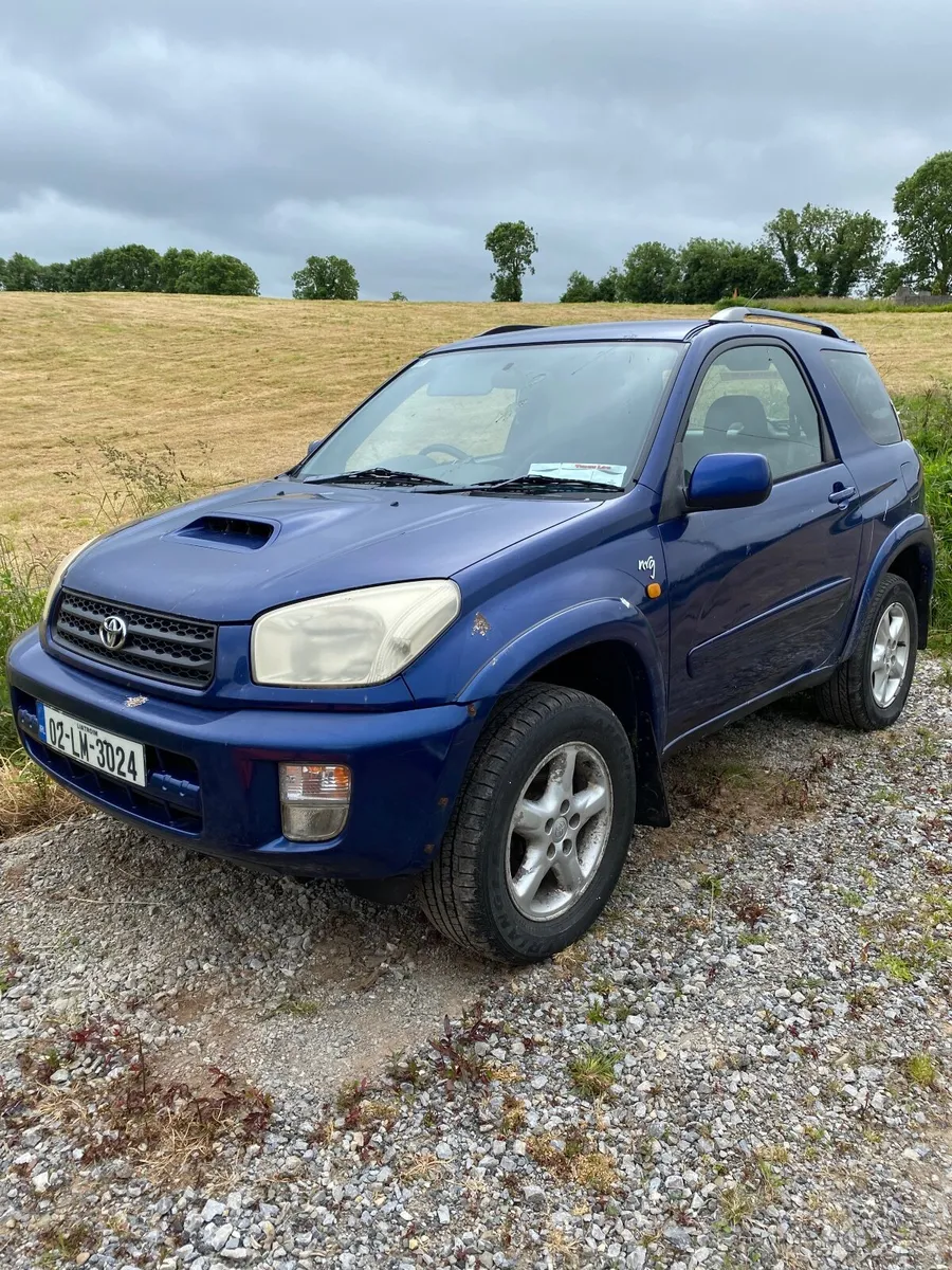 Yard cleanup - Image 4