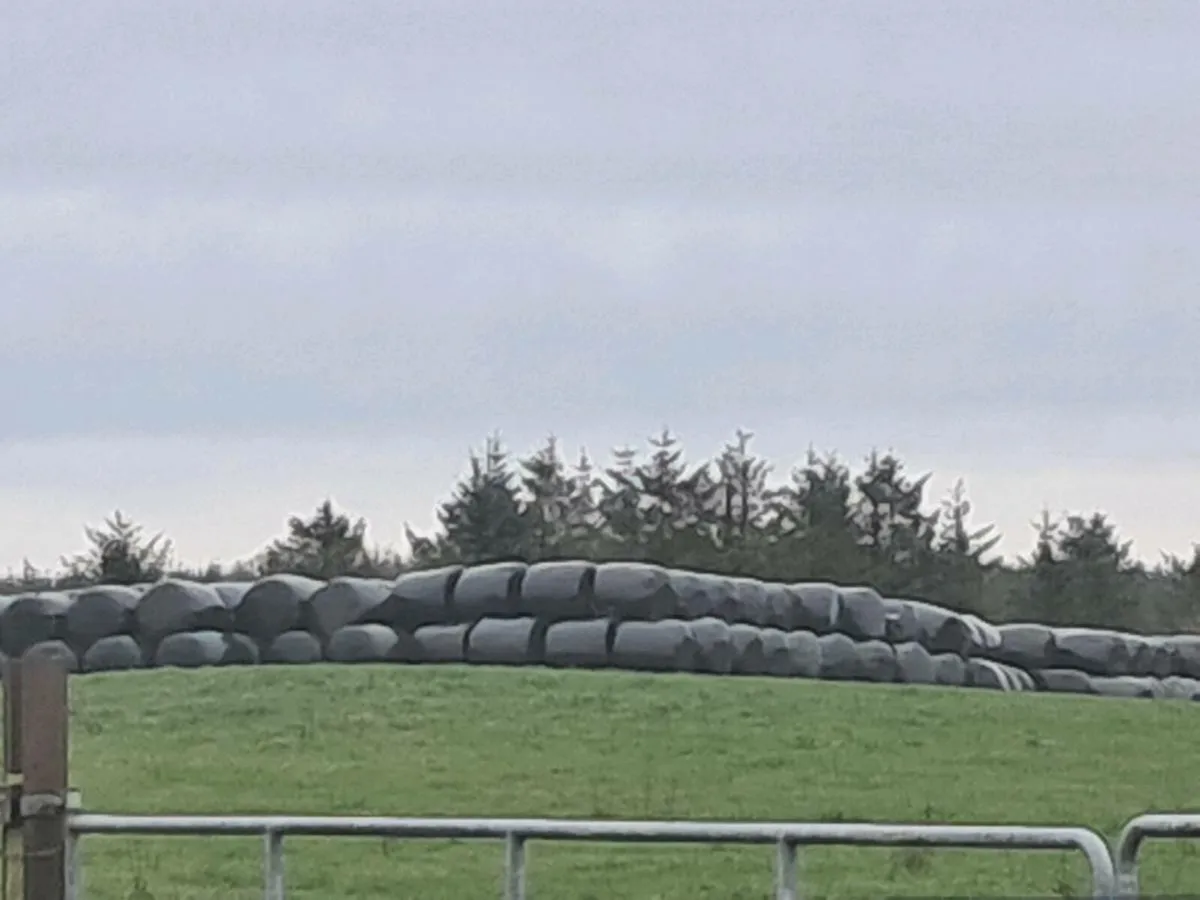 SILAGE BALES