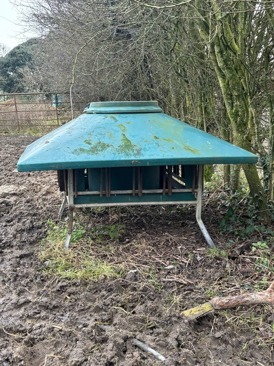 Sheep feeders - Image 2