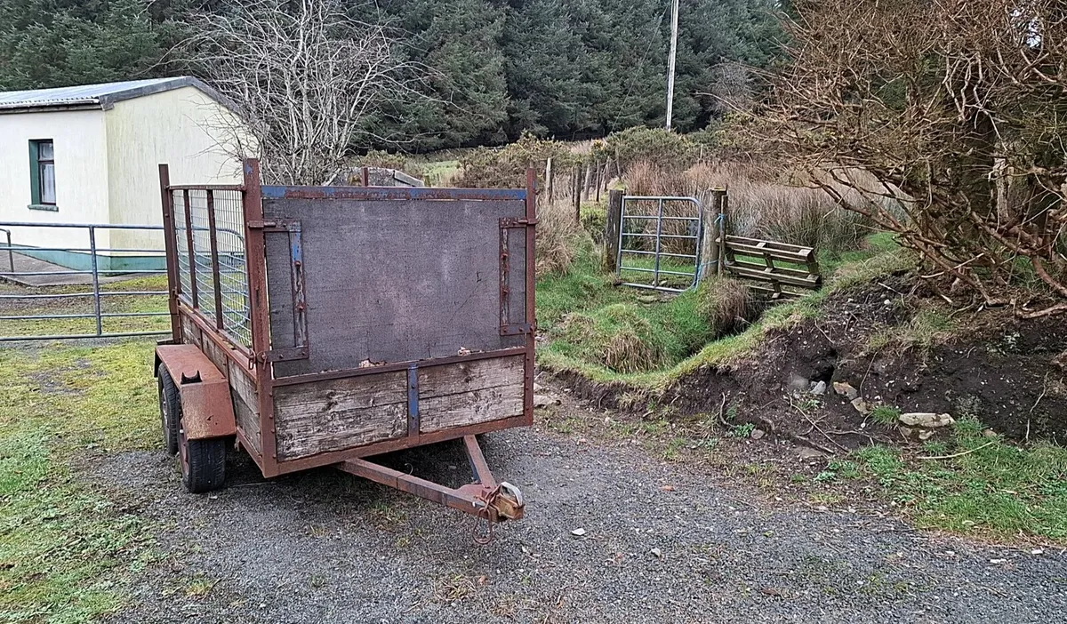 Sheep trailor - Image 1