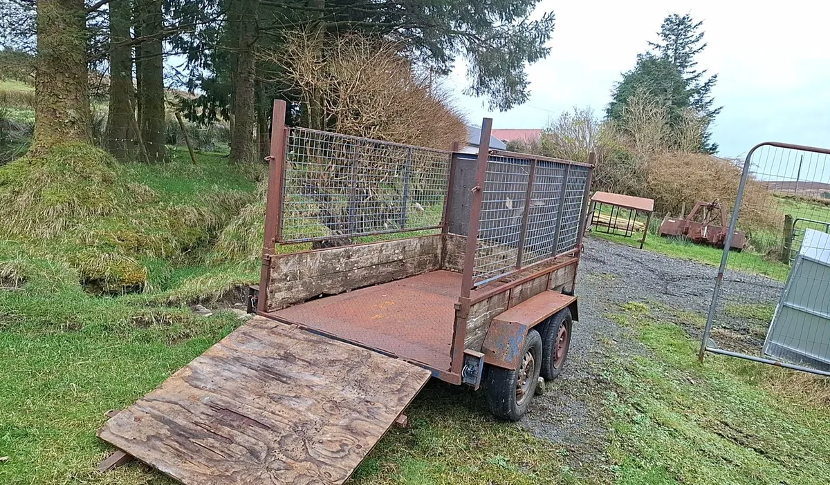 Sheep trailor - Image 2