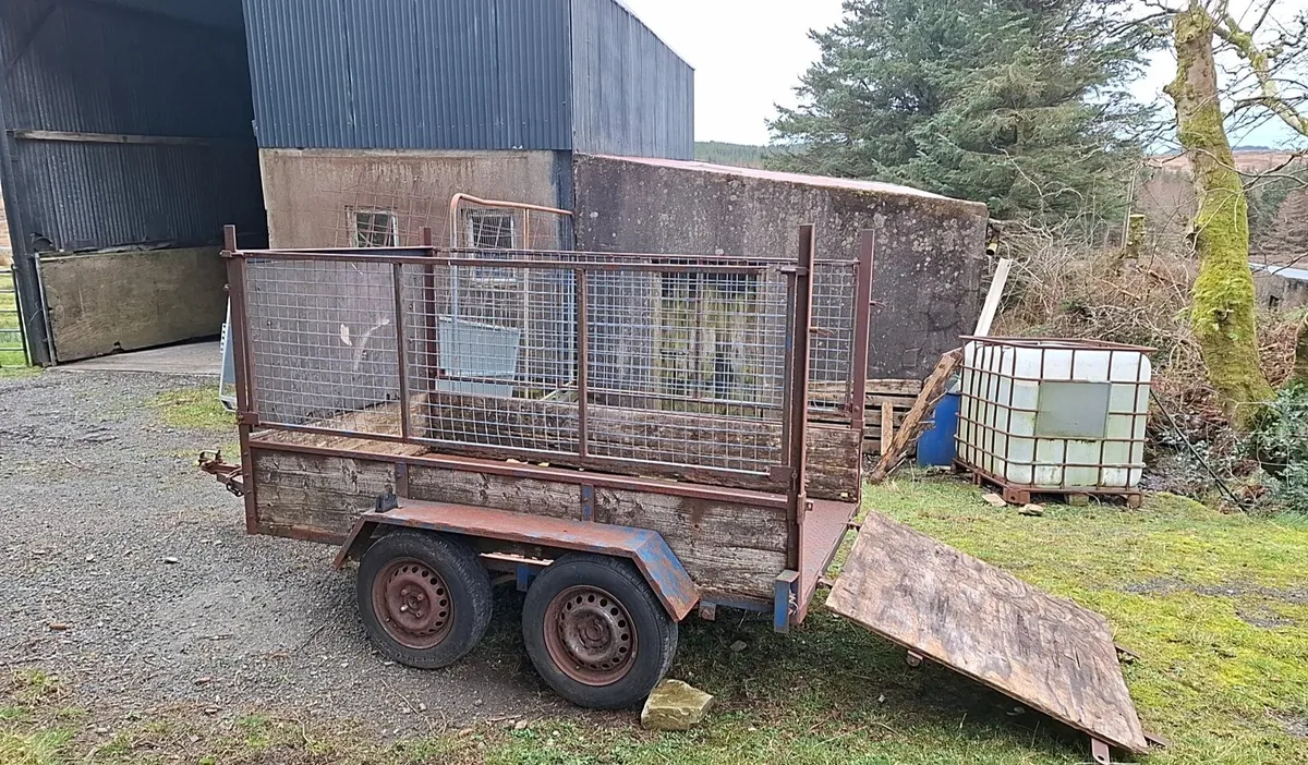 Sheep trailor - Image 3