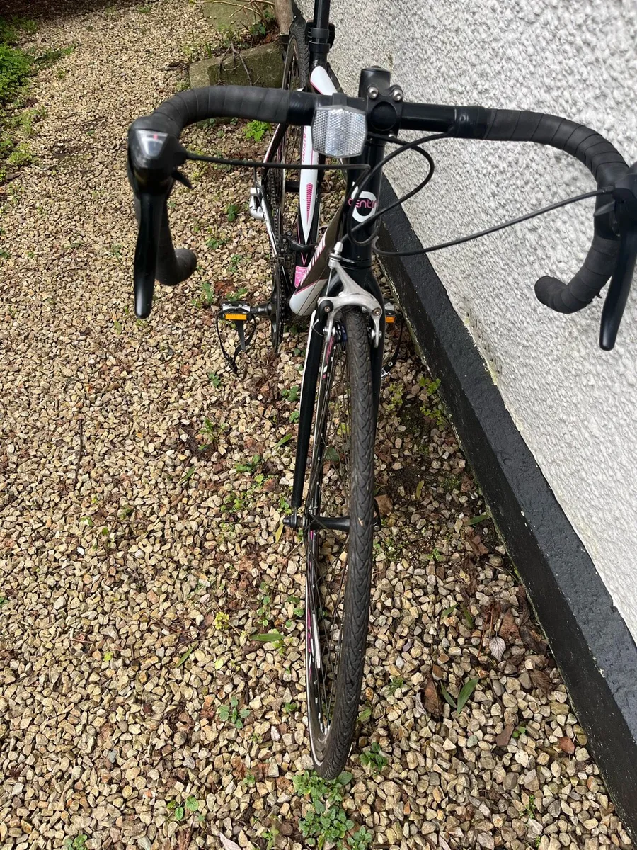 Ladies Bentini Road Bike - Image 3