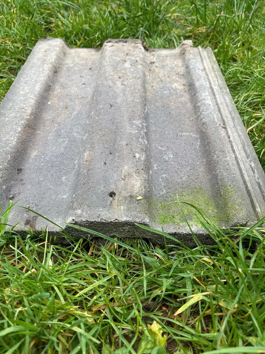 Roof tiles - Image 1