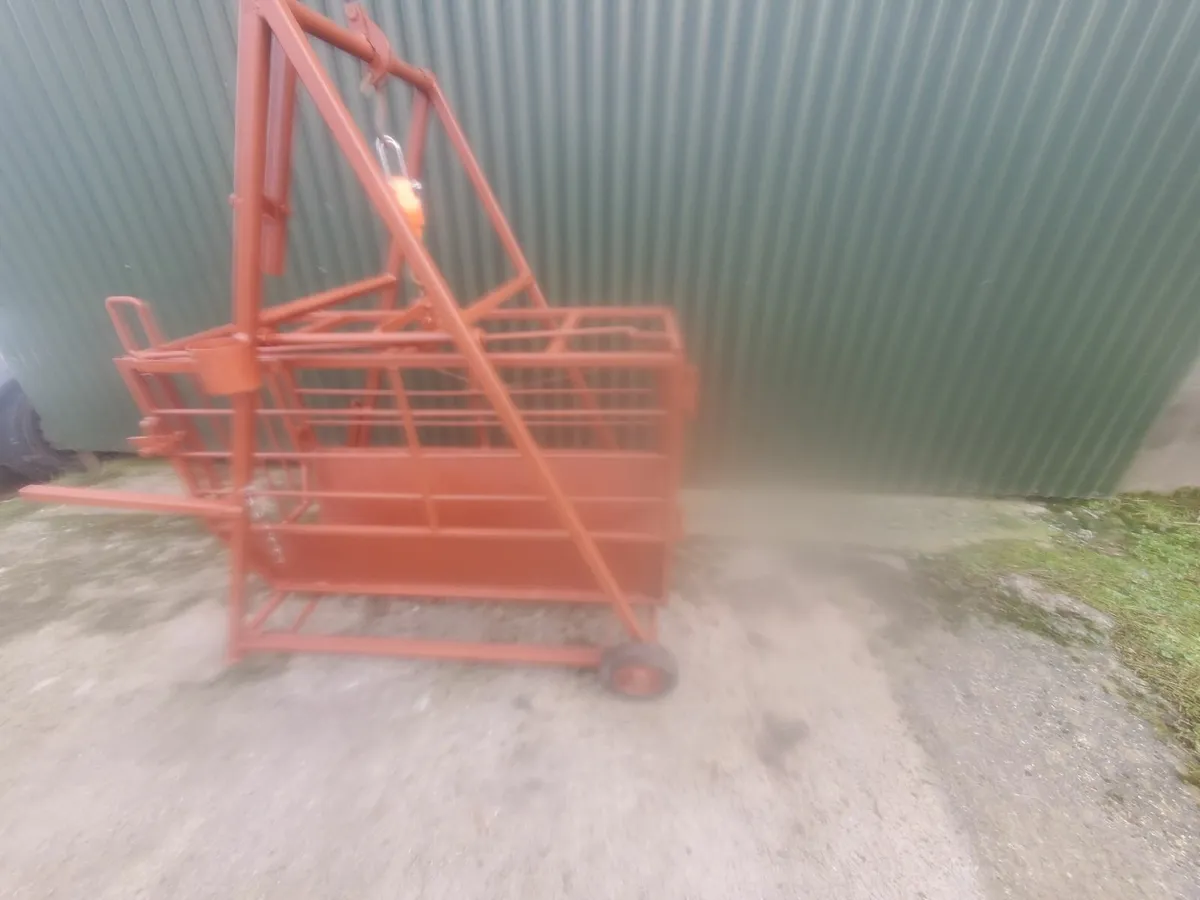 Sheep weighing Scales/Crate - Image 1