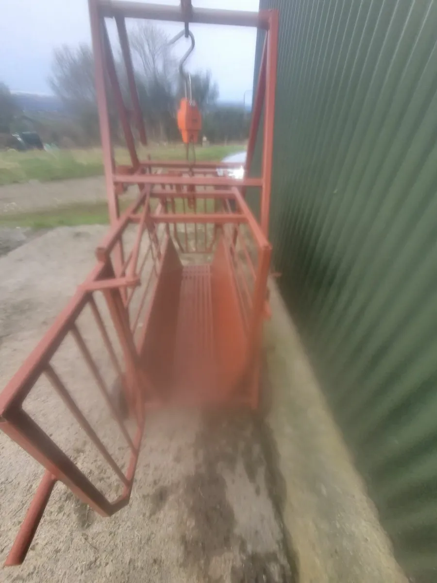 Sheep weighing Scales/Crate - Image 2